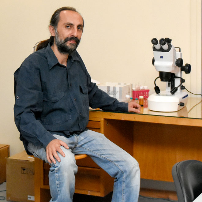 Most Cited researchers for 2024