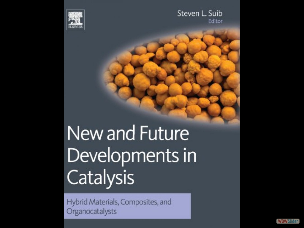 New and Future Developments in Catalysis: Hybrid Materials, Composites, and Organocatalysts