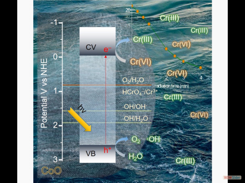 Fabrication of 3D Mesoporous Networks of Assembled CoO Nanoparticles for Efficient Photocatalytic Reduction of Aqueous Cr(VI)