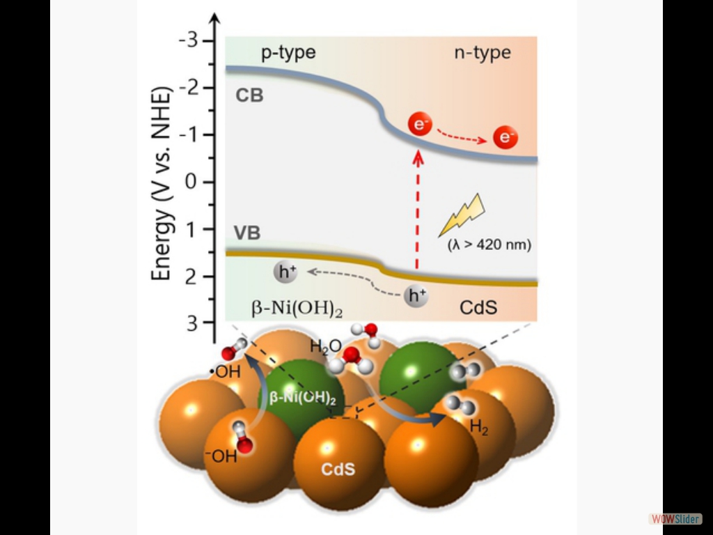 Visible-Light Photocatalytic H₂ Production Activity of β-Ni(OH)₂ Modified CdS Mesoporous Nano-Heterojunction Networks